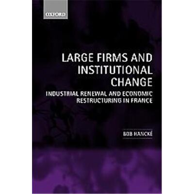 Large Firms and Institutional Change - Publicité Large Firms and Institutional Change - Publicité