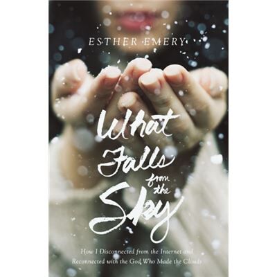 Zondervan What Falls From The Sky - Publicité Zondervan What Falls From The Sky - Publicité