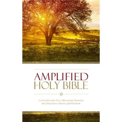 Zondervan Amplified Thinline Bible Sc Sc (Paperback) - Publicité Zondervan Amplified Thinline Bible Sc Sc (Paperback) - Publicité