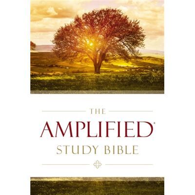 Zondervan Amplified Study Bible - Publicité Zondervan Amplified Study Bible - Publicité