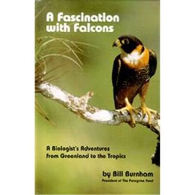 Hancock House Pub Ltd Fascination With Falcons - Publicité Hancock House Pub Ltd Fascination With Falcons - Publicité