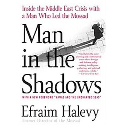 Griffin Man in the Shadows - Publicité Griffin Man in the Shadows - Publicité