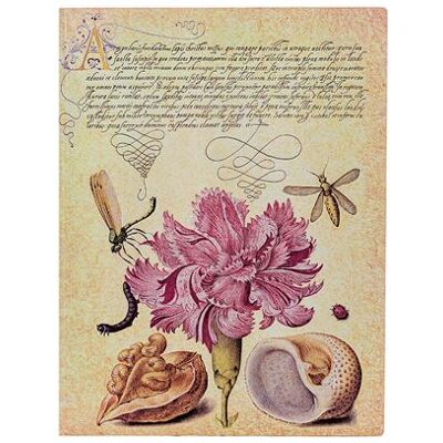 Carnet ligné Paperblanks Flexis Œillet Rose Ultra Multicolore - Publicité Carnet ligné Paperblanks Flexis Œillet Rose Ultra Multicolore - Publicité