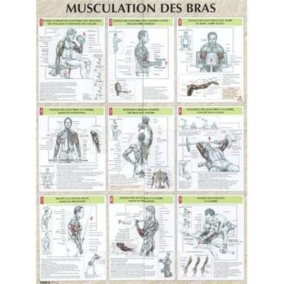 Musculation des bras planche plastifiée - Frédéric Delavier - Vigot - relié - Livre - Publicité Musculation des bras planche plastifiée - Frédéric Delavier - Vigot - relié - Livre - Publicité