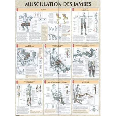 Musculation des jambes planche plastifiée - Frédéric Delavier - Vigot - relié - Livre - Publicité Musculation des jambes planche plastifiée - Frédéric Delavier - Vigot - relié - Livre - Publicité
