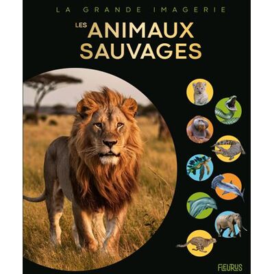 Les animaux sauvages - Collectif - Fleurus - relié - Document jeunesse - Publicité Les animaux sauvages - Collectif - Fleurus - relié - Document jeunesse - Publicité
