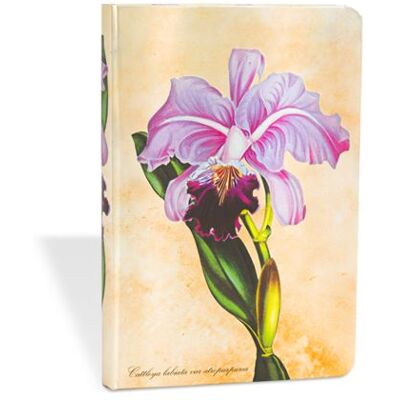 Carnet ligné Paperblanks Orchidée brésilienne Mini - Publicité Carnet ligné Paperblanks Orchidée brésilienne Mini - Publicité