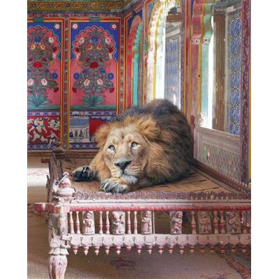Fables et autres contes Édition bilingue français-anglais - Karen Knorr - Filigranes Eds - broché - Monographie - Publicité Fables et autres contes Édition bilingue français-anglais - Karen Knorr - Filigranes Eds - broché - Monographie - Publicité