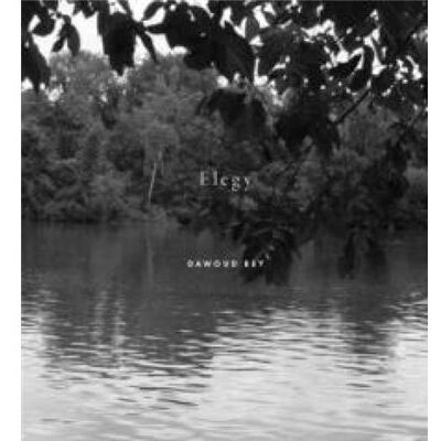 Aperture Dawoud Bey Elegy by Valerie Cassel Oliver - Publicité Aperture Dawoud Bey Elegy by Valerie Cassel Oliver - Publicité