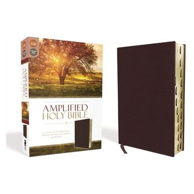 Zondervan Amplified Holy Bible Bonded Leather Burgundy Thumb Indexed - Publicité Zondervan Amplified Holy Bible Bonded Leather Burgundy Thumb Indexed - Publicité