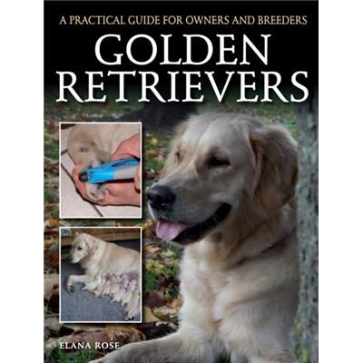 Inconnu Golden Retrievers by Elana Rose - Publicité Inconnu Golden Retrievers by Elana Rose - Publicité