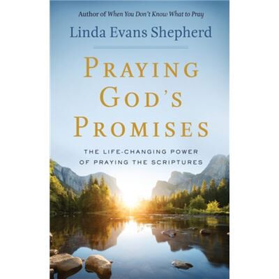 Inconnu Praying Gods Promises The LifeChanging Power of Praying the Scriptures by Linda Evans Shepherd - Publicité Inconnu Praying Gods Promises The LifeChanging Power of Praying the Scriptures by Linda Evans Shepherd - Publicité