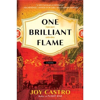 Amazon Publishing One Brilliant Flame by Joy Castro - Publicité Amazon Publishing One Brilliant Flame by Joy Castro - Publicité
