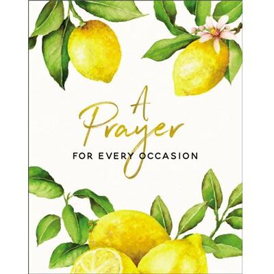 Zondervan A Prayer for Every Occasion by Carrie Marrs - Publicité Zondervan A Prayer for Every Occasion by Carrie Marrs - Publicité
