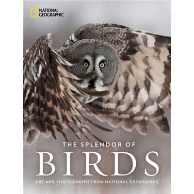 Inconnu The Splendor of Birds by National Geographic - Publicité Inconnu The Splendor of Birds by National Geographic - Publicité