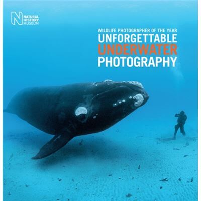 Inconnu Wildlife Photographer of the Year Unforgettable Underwater Photography by Rosamund Kidman Cox - Publicité Inconnu Wildlife Photographer of the Year Unforgettable Underwater Photography by Rosamund Kidman Cox - Publicité