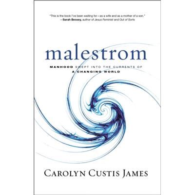 Malestrom - Carolyn Custis James - Zondervan - Livre en Anglais - Hardback - Publicité Malestrom - Carolyn Custis James - Zondervan - Livre en Anglais - Hardback - Publicité