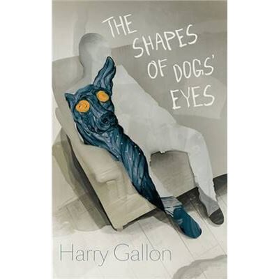 The Shapes of Dogs Eyes - Publicité The Shapes of Dogs Eyes - Publicité