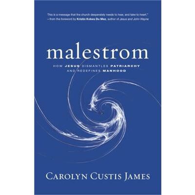 Malestrom - Carolyn Custis James - Zondervan - Livre en Anglais - Paperback - Publicité Malestrom - Carolyn Custis James - Zondervan - Livre en Anglais - Paperback - Publicité