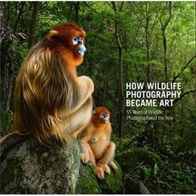How Wildlife Photography Became Art - Publicité How Wildlife Photography Became Art - Publicité