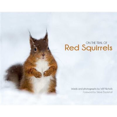 Inconnu On the Trail of Red Squirrels by Will Nicholls - Publicité Inconnu On the Trail of Red Squirrels by Will Nicholls - Publicité