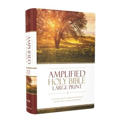 Zondervan Amplified Holy Bible Large Print Hardcover - Publicité Zondervan Amplified Holy Bible Large Print Hardcover - Publicité