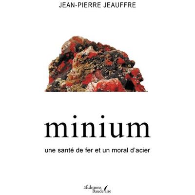Minium Une santé de fer et un moral d'acier - Jean-Pierre Jeauffre - Baudelaire - broché - Témoignage - Publicité Minium Une santé de fer et un moral d'acier - Jean-Pierre Jeauffre - Baudelaire - broché - Témoignage - Publicité