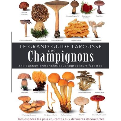 Le grand guide Larousse des champignons 450 espèces présentées sous toutes leurs facettes - Thomas Laessoe - Larousse - cartonné - Guide - Publicité Le grand guide Larousse des champignons 450 espèces présentées sous toutes leurs facettes - Thomas Laessoe - Larousse - cartonné - Guide - Publicité