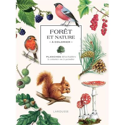 Forêt et nature à colorier Planches détachables à colorier ou à peindre - Collectif - Larousse - relié - Livre-jeu - Publicité Forêt et nature à colorier Planches détachables à colorier ou à peindre - Collectif - Larousse - relié - Livre-jeu - Publicité