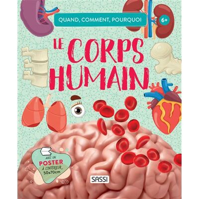 Quand, comment, pourquoi - Le corps humain - Mattia Cerato - Sassi - cartonné - Document jeunesse - Publicité Quand, comment, pourquoi - Le corps humain - Mattia Cerato - Sassi - cartonné - Document jeunesse - Publicité