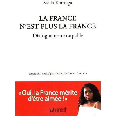 La france n'est plus la france Dialogue non coupable - Stella Kamnga - Verbe Haut Editions Du - broché - Essai - Publicité La france n'est plus la france Dialogue non coupable - Stella Kamnga - Verbe Haut Editions Du - broché - Essai - Publicité