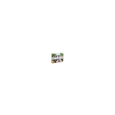 Galison GRAY MALIN, PARTY AT THE PA PUZZLE - 500 PIECE DOUBLE-SIDED - Publicité Galison GRAY MALIN, PARTY AT THE PA PUZZLE - 500 PIECE DOUBLE-SIDED - Publicité