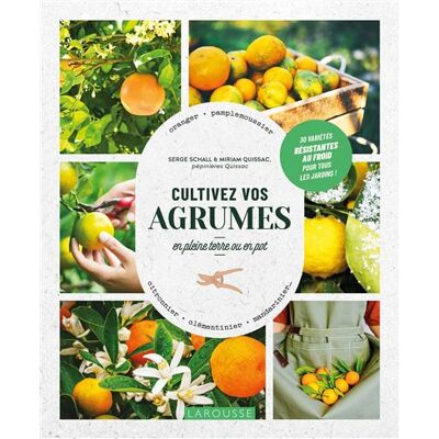 Cultivez vos agrumes - Serge Schall - Larousse - broché - Guide - Publicité Cultivez vos agrumes - Serge Schall - Larousse - broché - Guide - Publicité