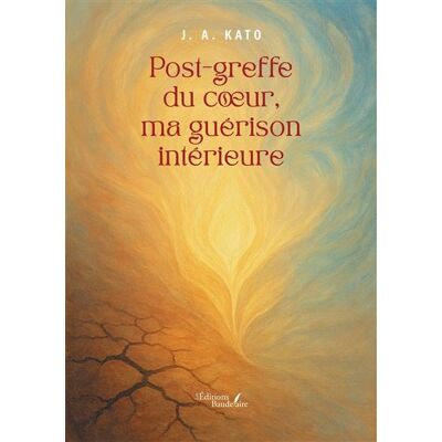 Post-greffe du coeur, ma guérison intérieure - J. A. Kato - Baudelaire - broché - Témoignage - Publicité Post-greffe du coeur, ma guérison intérieure - J. A. Kato - Baudelaire - broché - Témoignage - Publicité