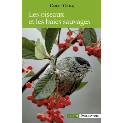 Les oiseaux et les baies sauvages - François Dorigny - Belin - broché - Guide - Publicité Les oiseaux et les baies sauvages - François Dorigny - Belin - broché - Guide - Publicité