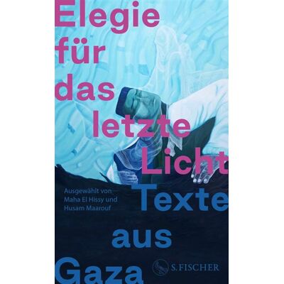 Elegie für das letzte Licht Texte aus Gaza - Sandra Hetzl - Fischer E-Books - ebook (ePub) - Livre - Publicité Elegie für das letzte Licht Texte aus Gaza - Sandra Hetzl - Fischer E-Books - ebook (ePub) - Livre - Publicité