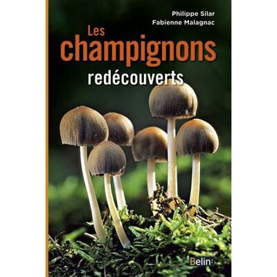 Les champignons redécouverts - Philippe Silar - Belin - broché - Guide - Publicité Les champignons redécouverts - Philippe Silar - Belin - broché - Guide - Publicité