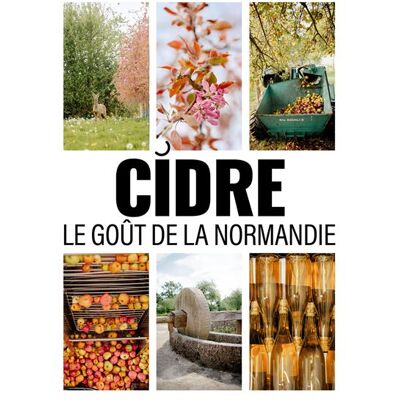 Cidre normand : le livre 2026 Petit Fute - Dominique Auzias - Petit futé - broché - Guide - Publicité Cidre normand : le livre 2026 Petit Fute - Dominique Auzias - Petit futé - broché - Guide - Publicité