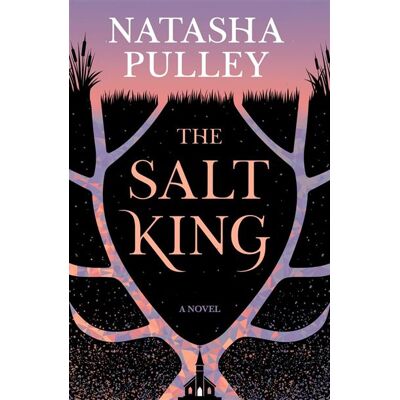 The Salt King A Novel - Natasha Pulley - Bloomsbury Publishing - ebook (ePub) - Livre - Publicité The Salt King A Novel - Natasha Pulley - Bloomsbury Publishing - ebook (ePub) - Livre - Publicité