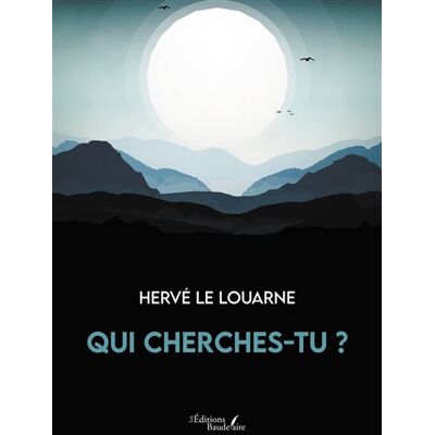 Qui cherches-tu ? - Herve Le Louarne - Baudelaire - broché - Roman - Publicité Qui cherches-tu ? - Herve Le Louarne - Baudelaire - broché - Roman - Publicité