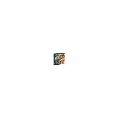 Galison PUZZLE - 1000 PIECE: HEIRLOOM PUMPKINS - Publicité Galison PUZZLE - 1000 PIECE: HEIRLOOM PUMPKINS - Publicité