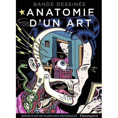 Bande dessinée - Anatomie d'un art Dissection de planches originales - Damien MacDonald - Flammarion - broché - Beau livre - Publicité Bande dessinée - Anatomie d'un art Dissection de planches originales - Damien MacDonald - Flammarion - broché - Beau livre - Publicité