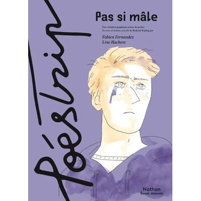 Pas si mâle - Fabien Fernandez - Nathan - cartonné - Bande dessinée - Publicité Pas si mâle - Fabien Fernandez - Nathan - cartonné - Bande dessinée - Publicité