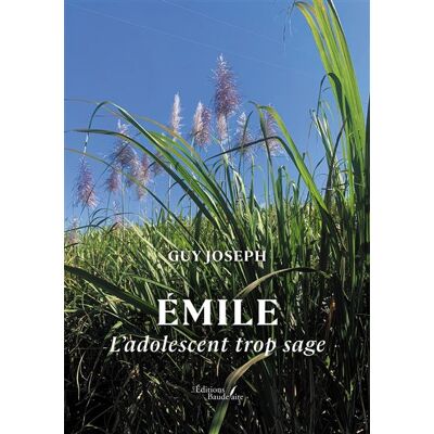 Émile L'adolescent trop sage - Guy Joseph - Baudelaire - broché - Récit - Publicité Émile L'adolescent trop sage - Guy Joseph - Baudelaire - broché - Récit - Publicité