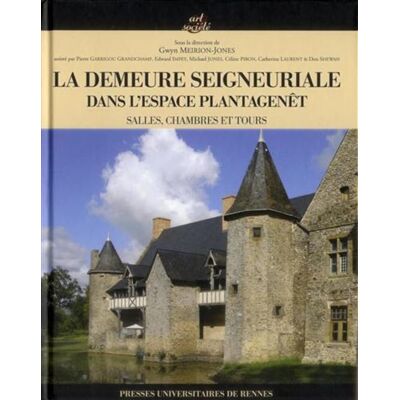 Demeure seigneuriale du monde plantagenet xiexvie siecles XIe-XVIe siècles : salle, chambres et tours - Pur - Presses Universitaires Rennes - broché - Scolaire / Universitaire - Publicité Demeure seigneuriale du monde plantagenet xiexvie siecles XIe-XVIe siècles : salle, chambres et tours - Pur - Presses Universitaires Rennes - broché - Scolaire / Universitaire - Publicité