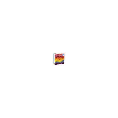 Galison PUZZLE - 500 PIECE: RAINBOW SUMMER FLOWERS - Publicité Galison PUZZLE - 500 PIECE: RAINBOW SUMMER FLOWERS - Publicité