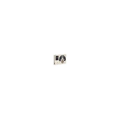 Galison PUZZLE - 750 PIECE SHAPED PUZZLE: PAPER DOGS - Publicité Galison PUZZLE - 750 PIECE SHAPED PUZZLE: PAPER DOGS - Publicité