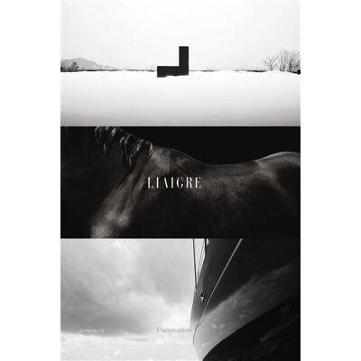 Liaigre : 12 Projects - Christian Liaigre - Flammarion - relié - Beau livre - Publicité Liaigre : 12 Projects - Christian Liaigre - Flammarion - relié - Beau livre - Publicité