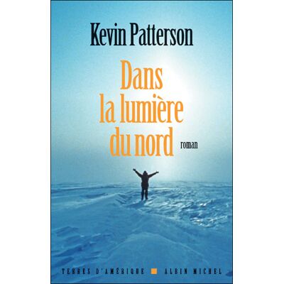 Dans la lumière du nord - Anne Damour - Albin Michel - broché - Roman - Publicité Dans la lumière du nord - Anne Damour - Albin Michel - broché - Roman - Publicité