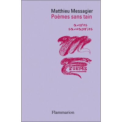 Poèmes sans tain - Matthieu Messagier - Flammarion - broché - Poésie - Publicité Poèmes sans tain - Matthieu Messagier - Flammarion - broché - Poésie - Publicité